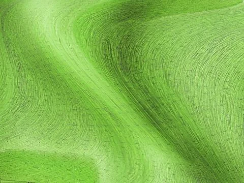 Abstract soft texture background with smooth shapes pattern. 스톡 일러스트