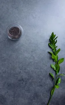 Abstract spa background - blank box, flower and fresh leaves over concrete. Top 写真素材