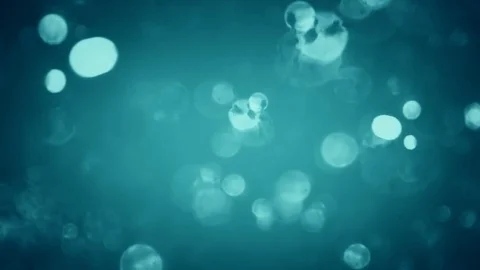 Abstract sparkles or glitter lights. Defocused circles bokeh or particles, gr Stock-Footage 82500511
