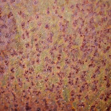 Abstract speckled pattern on a rough textured wall Stock Photos