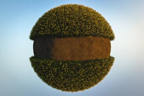 Abstract spherical corn field on a blue background. Corn plants with cobs 3D Stock Illustration