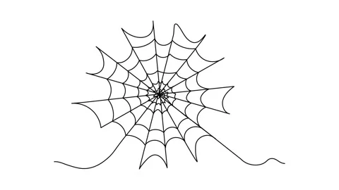 Abstract spider web for Halloween . Self drawing animation one continuous line Stock Footage 279139972