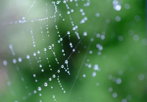 Abstract Spider web Stock Photos