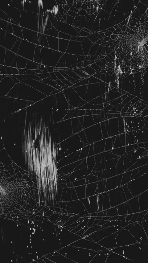 Abstract spider web texture on a dark background Stock Footage 345045818
