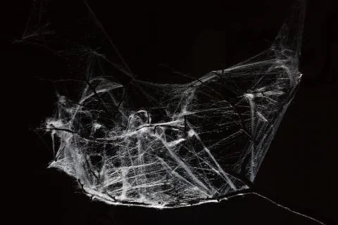 Abstract Spiderweb on black Stock Photos