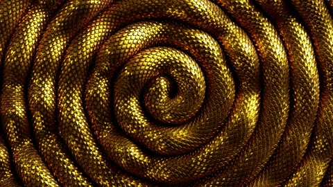 Abstract spiral 3d background with shiny golden snake moving, shiny skin 스톡 동영상 145717951