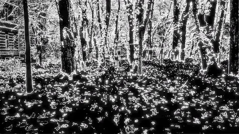 Abstract Sport Stock Footage 83757152