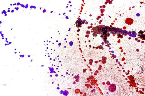 Abstract spots on white background Stock Photos