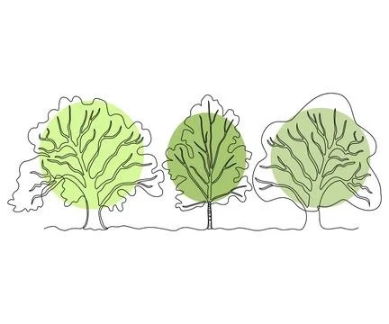 Abstract sprawling branching three trees in a row, a forest of oak and birc.. Stock Illustration
