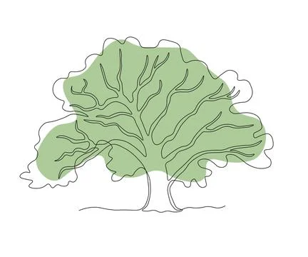 Abstract Sprawling Branching Tree , Oak Continuous One Line Drawing Stock Illustration