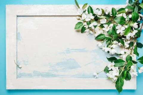 Abstract spring background with bloom Apple tree branch on a wooden backgro.. Stock Photos