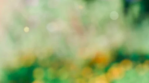 Abstract spring background with bokeh Stock Footage 103120381