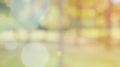 Abstract spring background with bokeh Stock Footage 103122631