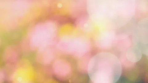 Abstract spring background with bokeh Stock Footage 103349870