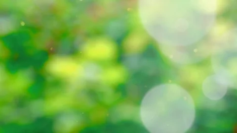 Abstract spring background with bokeh Stock Footage 103368930