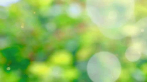Abstract spring background with bokeh Stock Footage 103369336