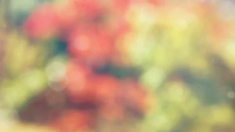 Abstract spring background with bokeh Video stock 103412684