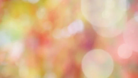 Abstract spring background with bokeh Stock Footage 103414085