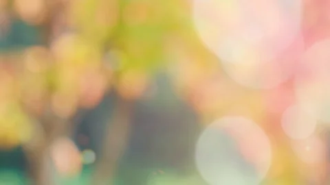 Abstract spring background with bokeh Stock Footage 104070616