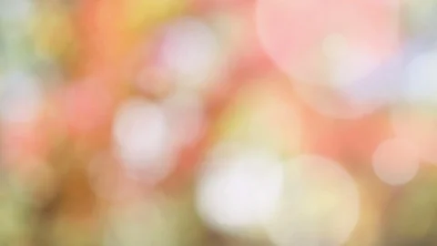 Abstract spring background with bokeh Stock Footage 104070710