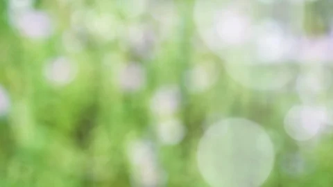 Abstract spring background with bokeh Stock Footage 104582218