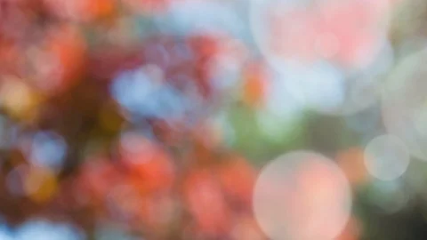 Abstract spring background with bokeh Stock Footage 104582326