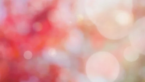Abstract spring background with bokeh Stock Footage 104583491