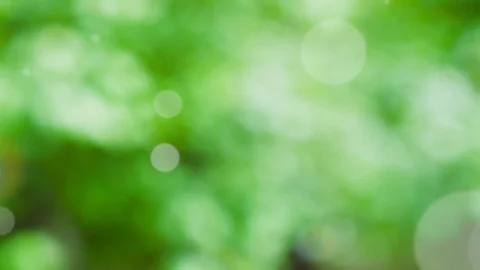 Abstract spring background with bokeh Stock Footage 104687359