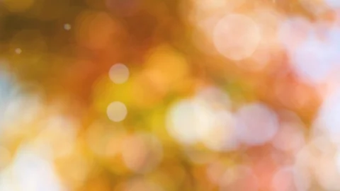 Abstract spring background with bokeh Stock Footage 104687464