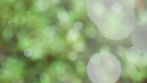 Abstract spring background with bokeh Stock Footage 104886993