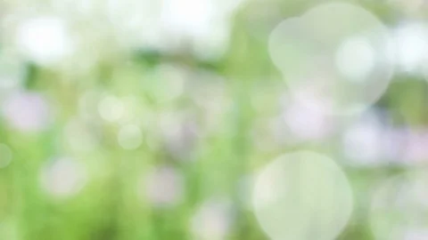 Abstract spring background with bokeh Stock Footage 104887108