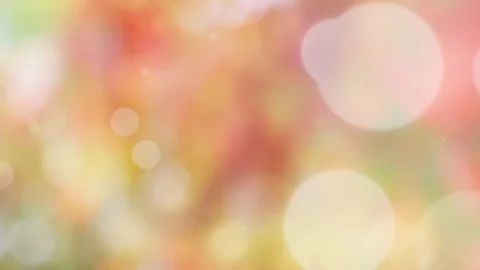 Abstract spring background with bokeh Stock Footage 104888730