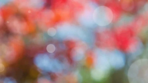 Abstract spring background with bokeh Stock Footage 104889421