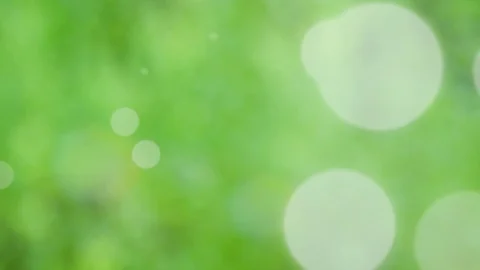 Abstract spring background with bokeh Stock Footage 104889457