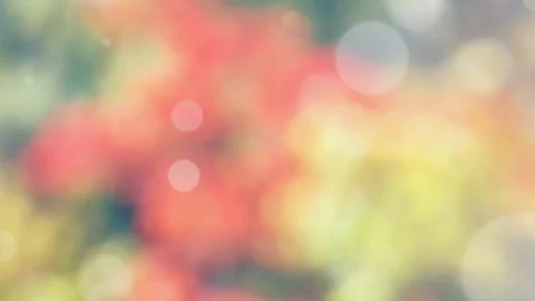 Abstract spring background with bokeh Stock Footage 104890378