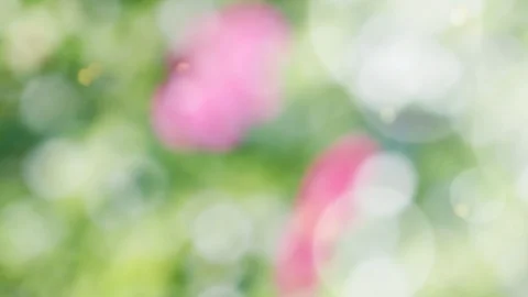 Abstract spring background with bokeh Stock Footage 104890927