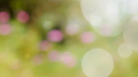 Abstract spring background with bokeh Stock Footage 105272965