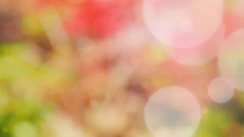 Abstract spring background with bokeh Stock Footage 105273693