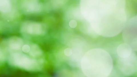 Abstract spring background with bokeh Stock Footage 105690591