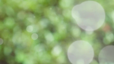 Abstract spring background with bokeh Stock Footage 105690607