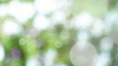 Abstract spring background with bokeh Stock Footage 105691471