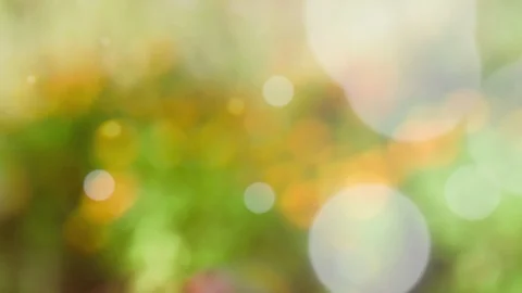 Abstract spring background with bokeh Stock Footage 105692266