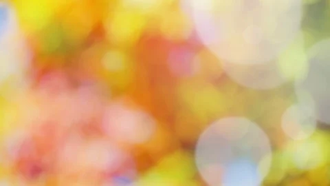 Abstract spring background with bokeh Stock Footage 105693113