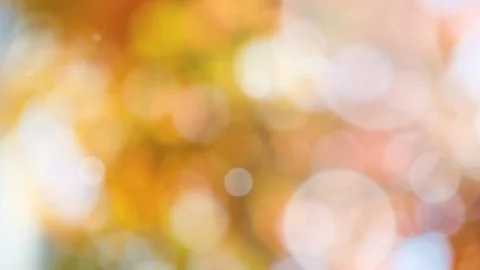 Abstract spring background with bokeh Stock Footage 105693251