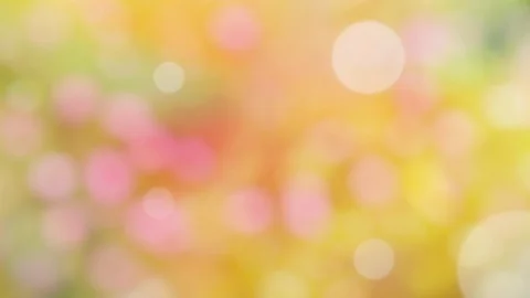 Abstract spring background with bokeh Stock Footage 106043967