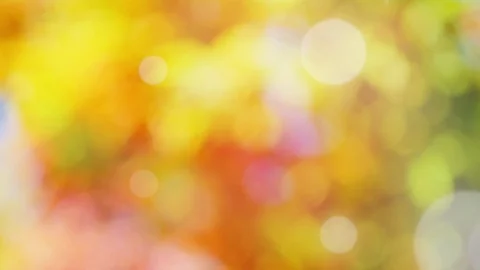 Abstract spring background with bokeh Stock Footage 106044071