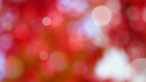 Abstract spring background with bokeh Stock Footage 106046088