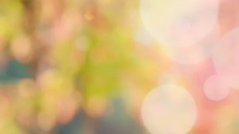Abstract spring background with bokeh Stock Footage 106047167
