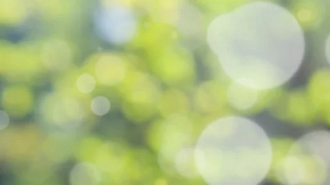 Abstract spring background with bokeh Stock Footage 106047169