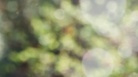 Abstract spring background with bokeh Stock Footage 106543748